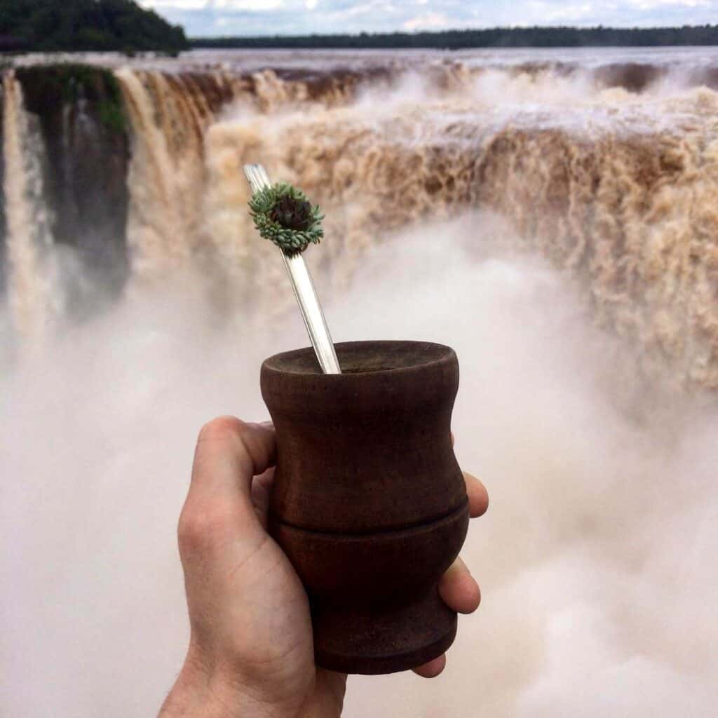 mate con suculentas en cataratas del iguazu misiones