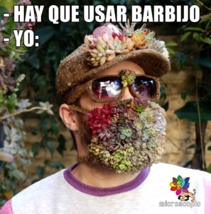 meme soymicroscopio suculentas covid ale nemi barbijo de suculentas