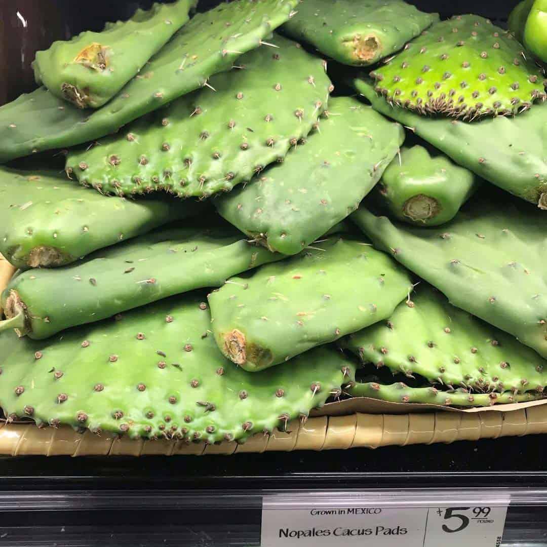 Lee más sobre el artículo Tacos & Pizza de Cactus