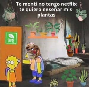 Lee más sobre el artículo Memes de suculentas | Parte 1