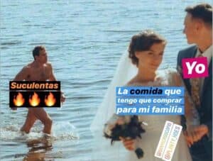 Lee más sobre el artículo Memes de suculentas | Parte 5