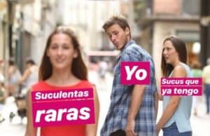 Lee más sobre el artículo Memes de suculentas | Parte 6