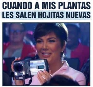 Lee más sobre el artículo Memes de suculentas | Parte 3