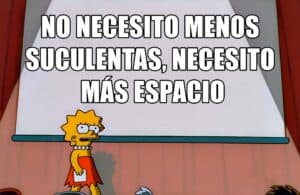 Lee más sobre el artículo Memes de suculentas | Parte 8