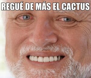 Lee más sobre el artículo Memes de suculentas | Parte 7