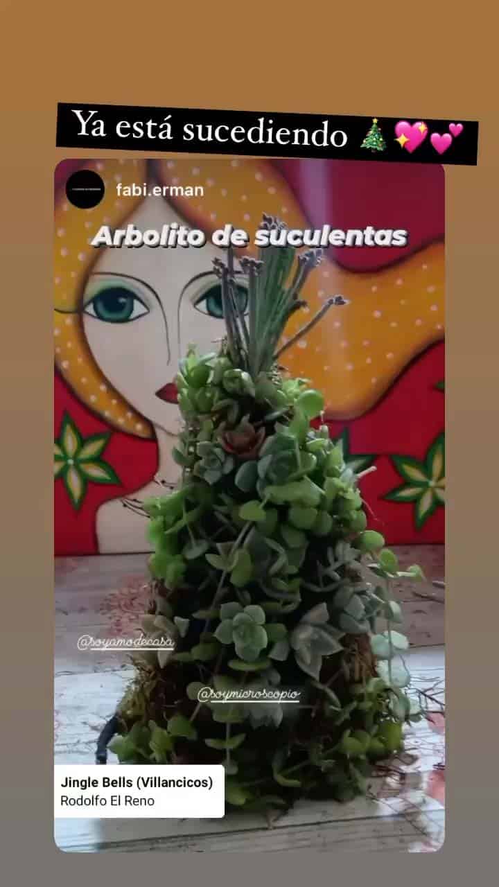 WhatsApp Video 2021-12-17 at 2.58.44 PM